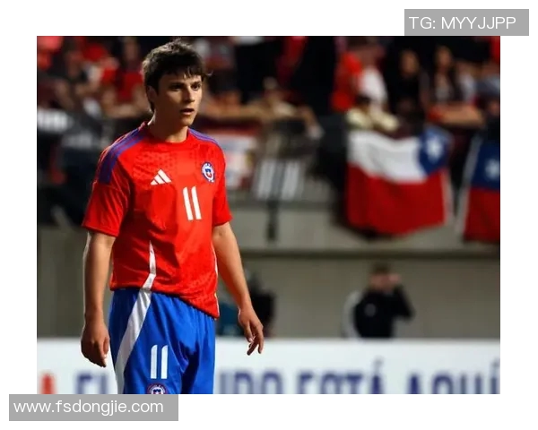 南美智利足球明星的辉煌历程与成就探秘