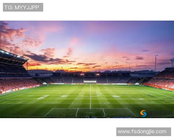 为足球明星谱写的激情旋律与荣耀梦想之歌