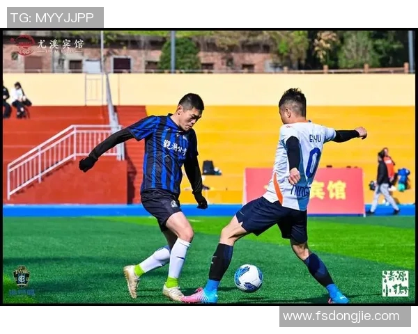 2016年国际足球赛事回顾与精彩瞬间分析