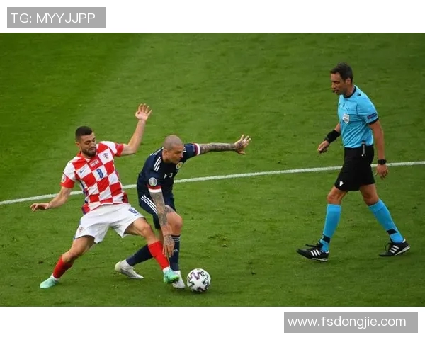 历届欧洲杯冠亚军全景回顾与历史数据分析